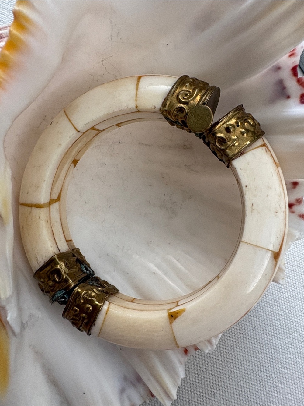 Hinged Bone Bangle with Pin Opening & Brass Accents